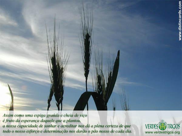 cartão virtual VerdesTrigos